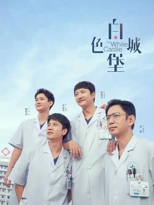 沉默的证词 电视剧全集在线看